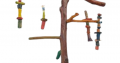 Parrot Stand tree wood استاند ببغاوات و طيور زينة